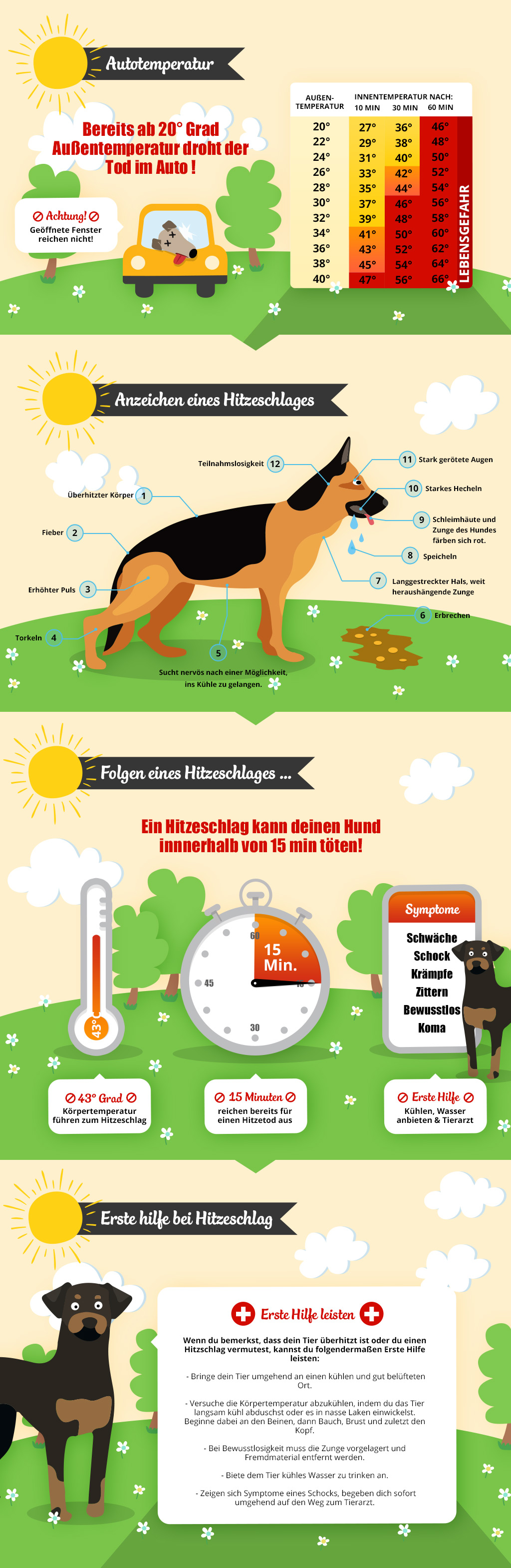 Auto_Hund_Hitze_Gefahr_Tot_Infographic_