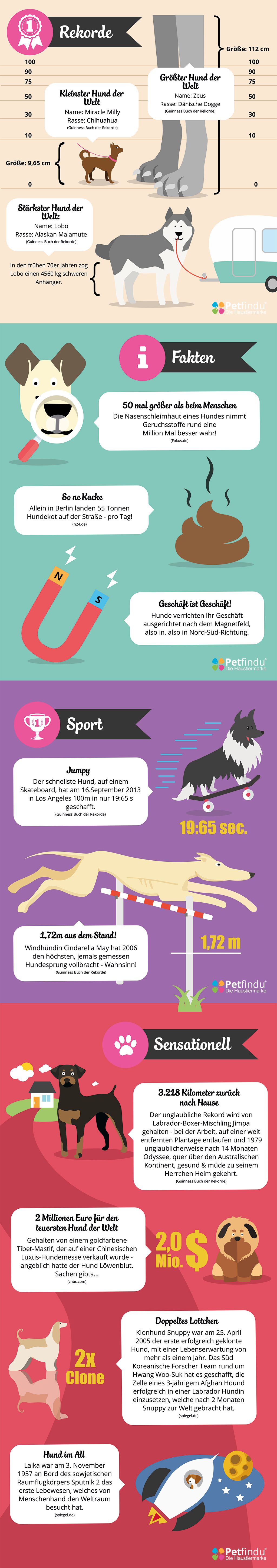 Infographic_12_Lustige_Hundefakten